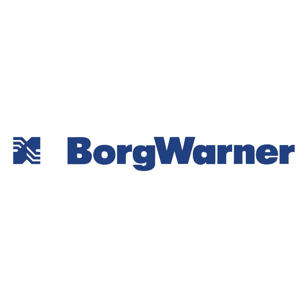 BorgWarner logo with blue text and icon.